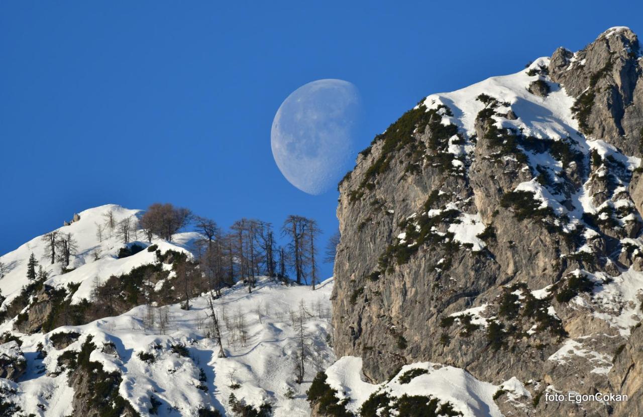 Mountain Charm Apartment Kranjska Gora Bagian luar foto